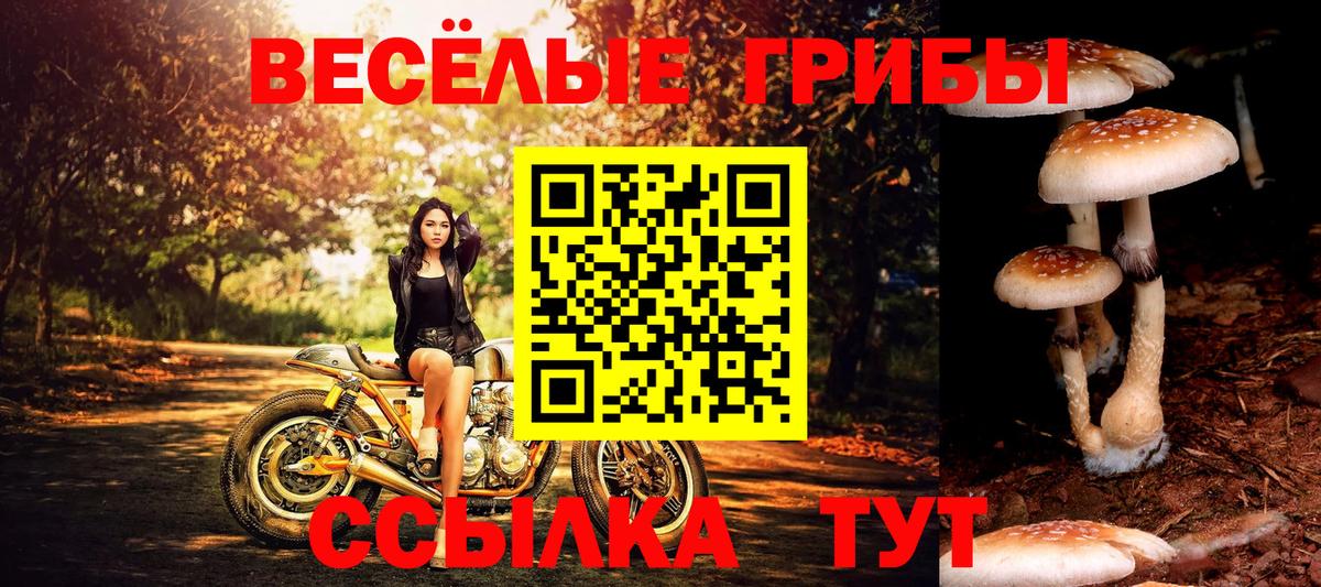 Галлюциногенные грибы прущие грибы Серпухов