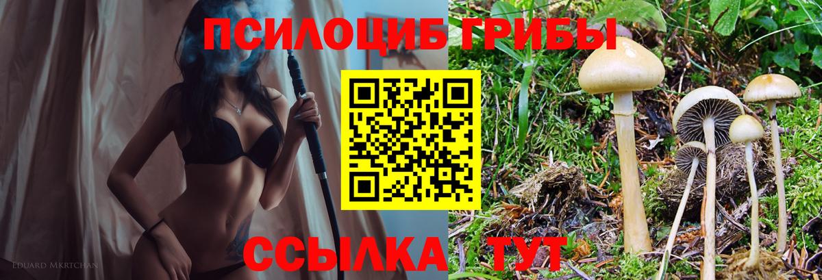 Серпухов  Галлюциногенные грибы мухоморы  Вход с VPN 